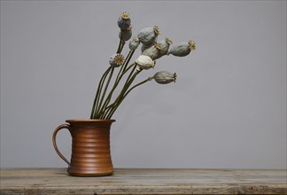 Dried poppy seed heads in a ceramic vase on wooden table