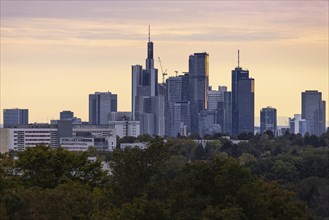 The yellow light of the setting sun falls sideways onto the glass facades of the Frankfurt banking