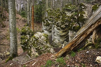 Felsenmeersteig, Swabian Alb, near Albstadt-Laufen, Baden-Württemberg, Germany, rock sea path,