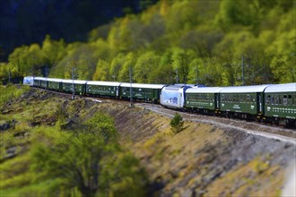 Flam, Norway, May 2015: train carriages of the Flamsbana (Flam Line) running through a green valley