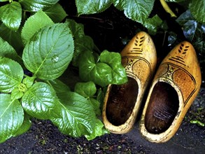 Wooden shoes in the garden