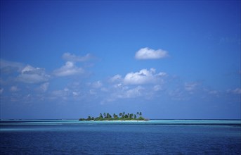 Palm Island, Maldives, Indian Ocean, Meemu Atoll, Asia