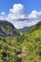 Beautiful mountain landscape in Sri Lanka