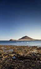 Rocky coast landscape with montana roja mountain near el medano in south tenerife island spain