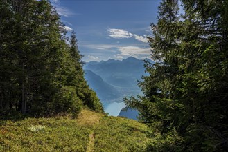 Panoramic view of Lake Lucerne in Switzerland