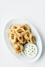 Traditional spanish fried calamari squid rings tapas with aioli garlic sauce