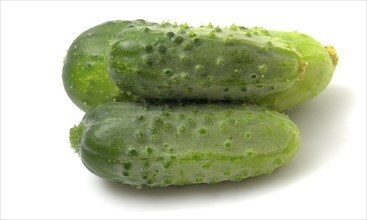 Three green gherkin cucumbers isolated on white background