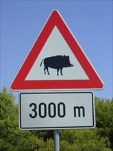 Beware of wild boars