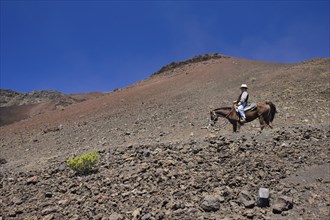 Horseback riding in the crater of the Haleakala volcano, Maui, Hawaii, USA, North America