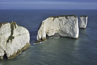 The chalk sea stacks Old Harry Rocks at Handfast Point on the Isle of Purbeck along the Jurassic