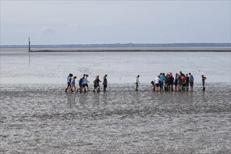 A group of pupils on a mudflat hike in the Wadden Sea National Park, low tide, Norddeich, Norden,