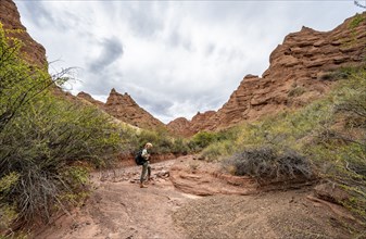 Mountaineer in a canyon with a dry stream bed, eroded mountain landscape with red sandstone rocks,