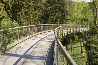 The Forest Botanical Garden Tharandt is an institution of the Technical University of Dresden and