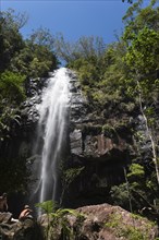 Protesters falls, waterfall, water, fresh, nature, environment, Nightcap National Park, Queensland,