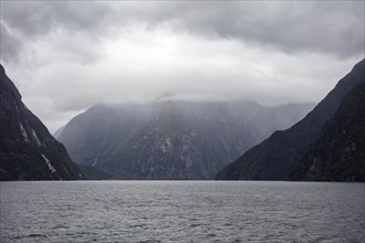 Kreuzfahrt, Milford Sound, Fiordland National Park, Neuseeland