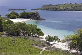 White sandy beach on the island Komodo in the Komodo National Park, Indonesia, Asia