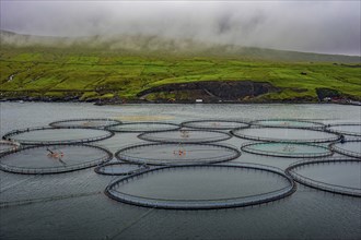 Fish farm in the Faroe islands, Denmark, Europe