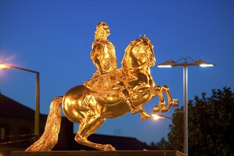 Golden Rider