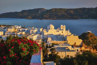 View of Plaka village on Milos island over red geranium flowers on sunset. Plaka town, Milos