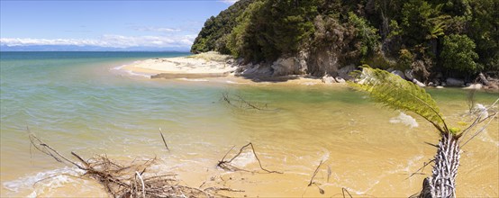 Abel Tasman Coast Track, Apple Tree Bay, Beach, Kaiteriteri, New Zealand, Oceania