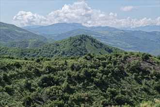 Wooded slopes in the southern Albanian mountain landscape on the western foothills of the Tomorr