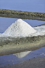 Salt pan for the poduction of Fleur de sel, sea salt on the island Ile de Ré, Charente-Maritime,