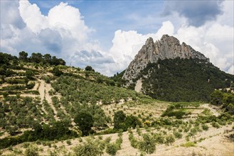 Buis-les-Baronnies, Departement Drôme, Provence, Provence-Alpes-Côte dAzur, France, Europe