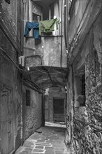 Hanging laundry in front of a window in an alley in the historic centre, Genoa, Italy, Europe