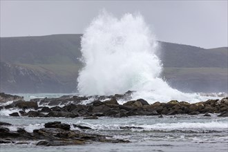 Waves, Curio Bay, Südland, Neuseeland