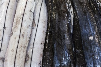 Skinned and unskinned black scabbardfish (Aphanopus carbo), fish market, Mercado dos Lavradores