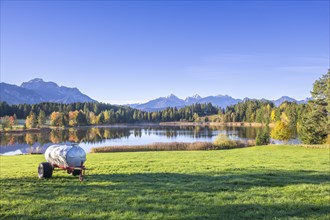 Hegratsrieder See near Füssen, Allgäu Alps, Allgäu, Bavaria, Germany, Europe