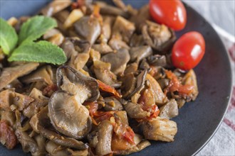 Fried oyster mushrooms with tomatoes on gray concrete background. side view, close up