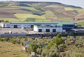 Los Tajos Cooperative agricultural processing centre, in countryside near Alhama de Granada, Spain,