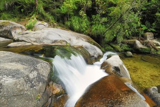 Small waterfall, Cleopatra's Pool, Abel Tasman National Park, Nelson Region, South Island New