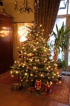 Europe, Germany, Christmas tree, Christmas tree in living room, Christmas, traditional tree