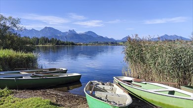 Rowing boats on Lake Hopfensee, Hopfen am See, near Füssen, Allgäu Alps, East Allgäu, Allgäu,