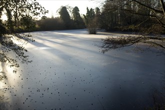 Frozen pond, Loam Ponds, Sutton, Suffolk, England, UK