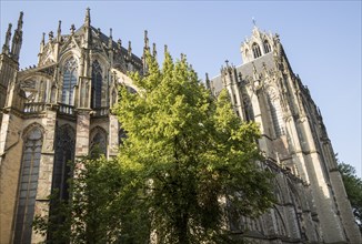 Dom church, Saint Martin's Cathedral, Utrecht, Netherlands