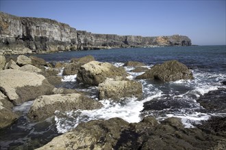 Limestone cliffs looking towards St Govan's head, Castlemartin peninsula, Pembrokeshire Coast