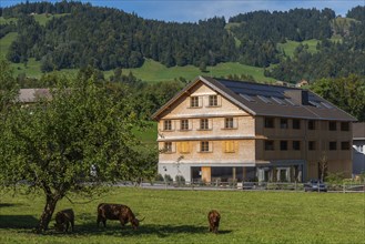 Schwarzenberg, Bregenz district, Bregenzerwald, newTimber house, architecture, Voralberg, Austria,