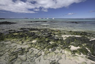 Motorboats and yachts in Las Bachas Bay on Santa Cruz island, Galápagos Islands, Ecuador, Latin