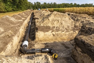 Laying of district heating pipes, next to a field, with maize, the district heating comes from a