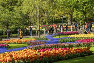 The Keukenhof, gardens, amusement park, spring park, spring flower show, near Lisse, South Holland,