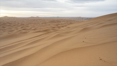 Dunes in the desert, Erg Chebbi, Sahara, Merzouga, Morocco, Africa