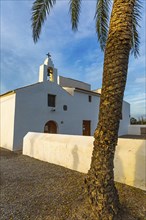 Palm tree in front of the church Sant Francesc de s'Estany, Ibiza, Balearic Islands, Mediterranean