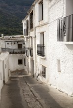 Houses in the village of Capileira, High Alpujarras, Sierra Nevada, Granada province, Spain, Europe