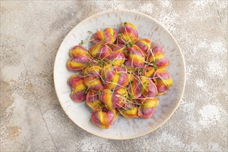 Rainbow colored dumplings with pepper, herbs, microgreen on brown concrete background. Top view,