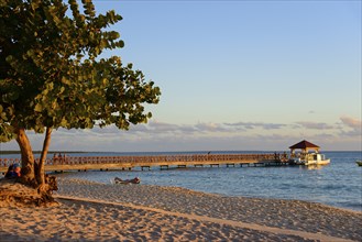 Beach view with a tree looking out over a long wooden jetty and a boat in the sea at sunset,