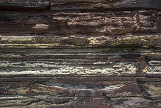 Close up of Devonian Old Red Sandstone in sea cliff at Duncansby Head near John o' Groats,