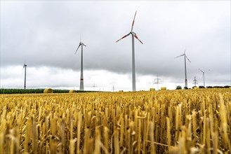 Power lines, high-voltage power lines, wind turbines, grain field, north-east of Höxter, North